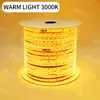 Tira de LED Doble Fila Angulada de 36V 2835, Recubierta Impermeable, LEDs de Alta Densidad, Tira de Luz Flexible de Alto Brillo para Exteriores para Decoración del Hogar