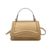 Bolso Cuadrado Pequeño Minimalista Fresco Casual de Moda Estilo Coreano con Textura para Otoño e Invierno 2025, Nuevo Bolso de Hombro Único y Bolso Cruzado de Moda Casual