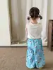 Conjunto para Niñas de Ropa Infantil ZheLi: Chaleco y Pantalones, Estilo Delgado de Verano 2026, Ropa de Bebé Clase A, Top de Bebé, Pantalones Anti-Mosquitos