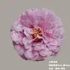 Flores artificiales de hibisco y peonía, materiales DIY para bodas, flores falsas para arreglos decorativos, diseño de escena de pared de flores al por mayor
