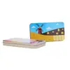 Caja de Hojalata Personalizada Empaque Metálico Rectangular Caja Pequeña de Hierro Tapa Abatible Empujar-Tirar Caja de Hierro Estampada Mate Caja Vacía