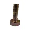 Tornillos huecos para pinza de freno de cargador en stock y se envían directamente. Los tornillos huecos de la pinza de freno del cargador se envían rápidamente.