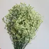 Ramo Eterno de Yunnan Hierba de Cristal Flores Preservadas de Colores Accesorios Florales Decoración del Hogar DIY Flores Secas Accesorios para Fotografía