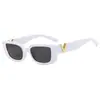 Gafas de Sol Retro Personalizadas de Marco Pequeño para Celebridades de Internet Europeas y Americanas, Adecuadas para Fotografía, Conducir y Uso Diario con Protección UV