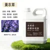 Hotel Hilton Aromaterapia Hotel Cinco Estrellas Exclusivo Perfume de Larga Duración Fragancia Líquido de Recarga en Botella Grande