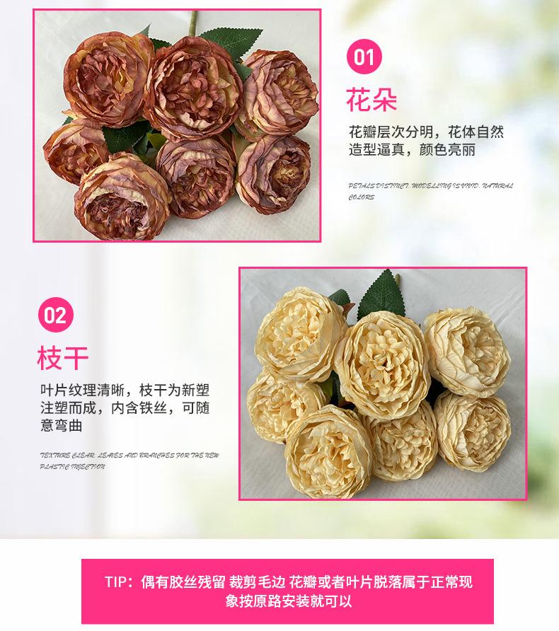 产品细节2-最终.jpg
