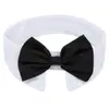 Gravata Pet Mais Vendida Transfronteiriça, Terno, Gravata Borboleta para Cachorro, Gravata Borboleta Ajustável com Velcro, Fabricante de Acessórios para Pets para Casamento
