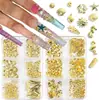 Rebites, Conchas, Pérolas de Concha, Estrelas-do-Mar, Acessórios para Nail Art Misto de 6 Compartimentos, Diamantes de Decoração para Unhas Estilo Oceano