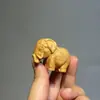 Piezas de Mango para Talla en Madera de Tuya, Doce Signos del Zodíaco, Adornos Populares, Piezas de Mango, Manualidades de Animales, Muebles para Escritorio y Hogar