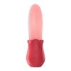 Explosiones de comercio exterior Mujeres chupan lengua y lamen vibración simulación huevo saltando vibración multifrecuencia masturbación mudo adulto diversión vibración palo