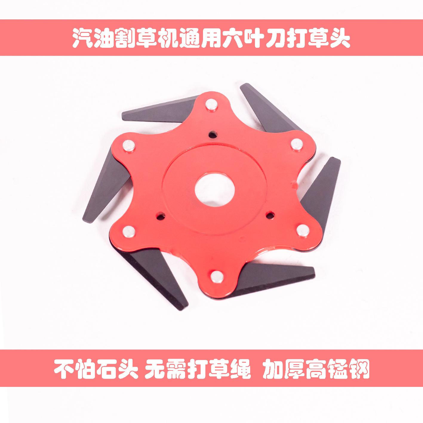 IMGL9744图1
