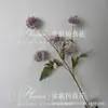 Cor de outono bola crisântemo cebola verde bola dente-de-leão hotel casa casamento decoração arranjo de flores adereços