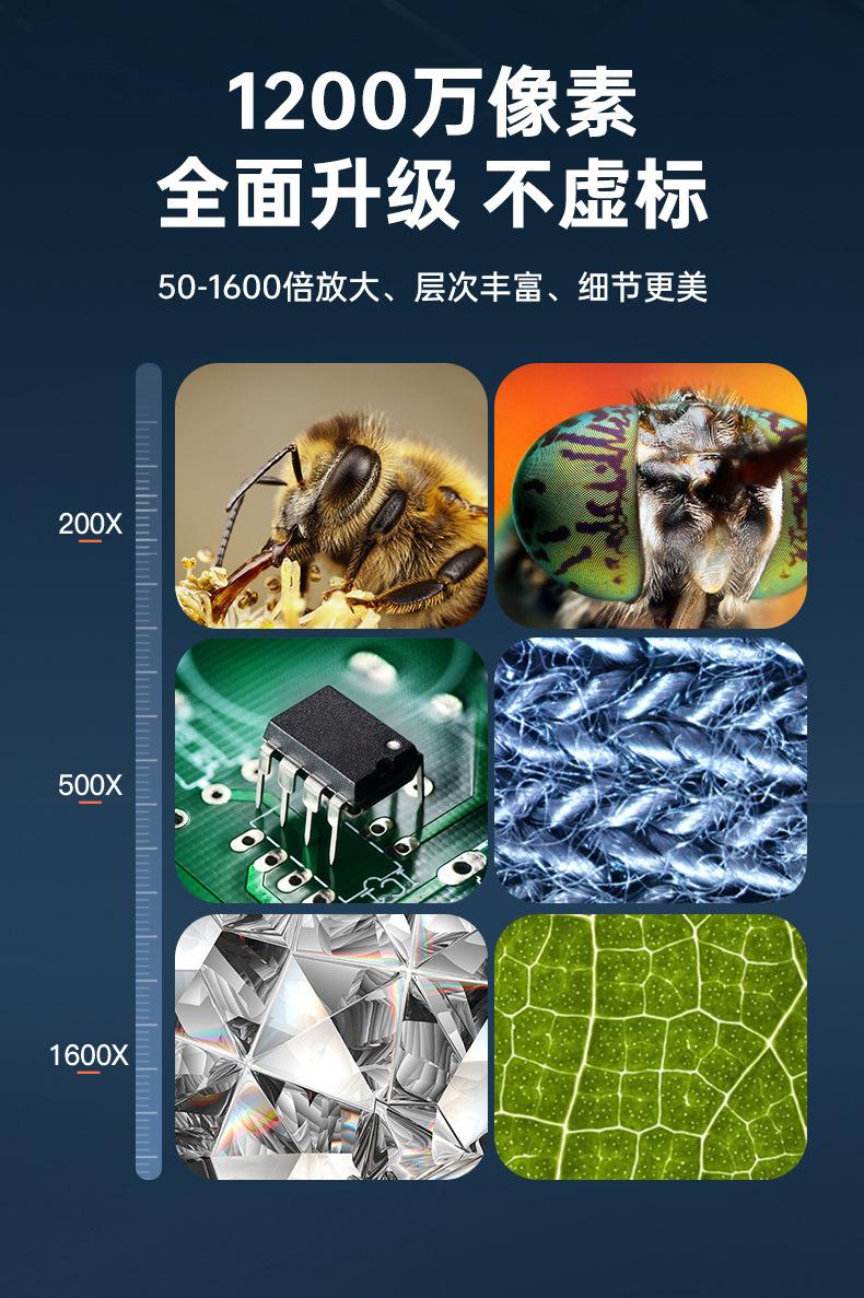 中文1_03.jpg