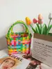 Nuevo producto: Bolsa de Picnic, Cesta de Verduras de Verano, Bolso Cuadrado Pequeño a Cuadros Coloridos de Nicho, Recuerdo, Bolso de Mano para Niños