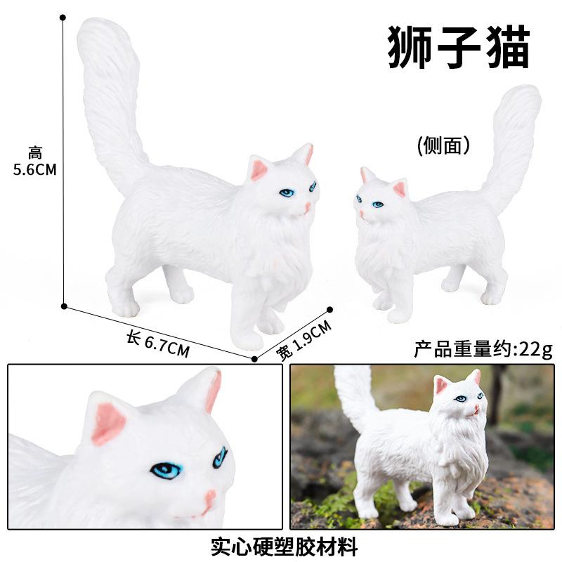 狮子猫
