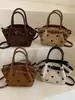 Bolso Cubo de Moda Simple Nuevo Otoño 2026 Bolso Cruzado Casual para el Trabajo Bolso de Hombro Único Elegante para Mujer