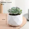 Atacado de Plantas Suculentas Artificiais, Vaso Diamante Plantas Suculentas Lote Misto, Vendas Diretas da Fábrica, Decorações de Plantas Verdes para Escritório