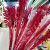 Flores Eternas Erva da Pequena Esperança Flores Secas Flores Verdadeiras Branqueamento Cor acessórios de buquê absorção de cor Erva da Pequena Esperança Fábrica de Yunnan Atacado Flores Eternas