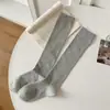Meias Invisíveis Youjiaxiu em Vermelho Sólido, Meias de Cano Longo Versáteis, Meias da Série Cinza da Moda para Mulheres