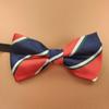 Entrega de Fábrica Rayas de Poliéster Puntos Polares Estudiante Varón Niños Pequeños Corbata de Moño Corbata Corbata Cuello de Moño Secciones Accesorios