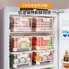 Crisper Portátil, Lonchera Refrigerador para Verduras Multigrano, Caja de Almacenamiento Azul para Snacks y Frutas de Picnic al Aire Libre, Sellada