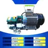 Envío Gratis WCB30/50/75/100 Autocebante Aceite Lubricante Bomba Diésel Portátil de Mano Bomba de Engranajes Bomba de Máquina de Aceite de Enfriamiento
