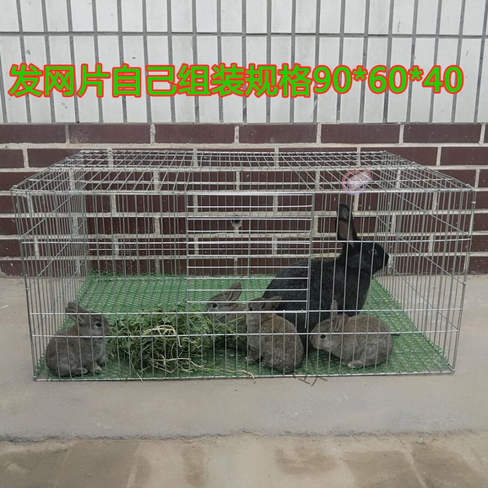 1ca32325-ae05-4902-ac3f-01fdb9cf34e5.jpg