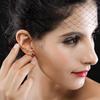 Aretes de Rubí Carloch Serie Caibao Gotas de Sangre Europeas y Americanas Aretes de Oro Rosa de 18k Joyería de Plata al por Mayor