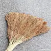 Escoba de sorgo con mango de madera escoba de saneamiento manual a la antigua cerdas engrosadas escoba para patio exterior limpieza duradera para el hogar
