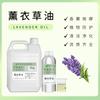 Aceite Esencial de Lavanda Aceite de Lavanda Aromaterapia Tranquila Masaje Cuidado de la Piel Cosméticos Materias Primas Fragancia Natural