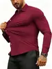 Camisas masculinas de negócios transfronteiriças, camisas casuais masculinas profissionais sem amassar, camisas masculinas de manga longa de alta qualidade direto da fábrica de origem