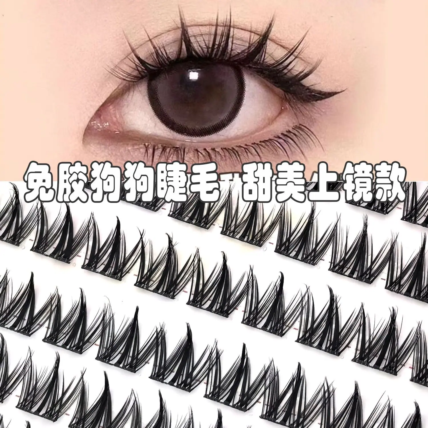 画板 1.png