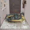 Tapetes de Chão, Carpete, Tapetes de Piso, Capachos de Porta de Entrada, Capachos de Porta de Entrada Resistentes a Manchas, Carpetes de Sala de Estar, Tapetes de Entrada de Casa, Capachos de Porta de Entrada no Atacado