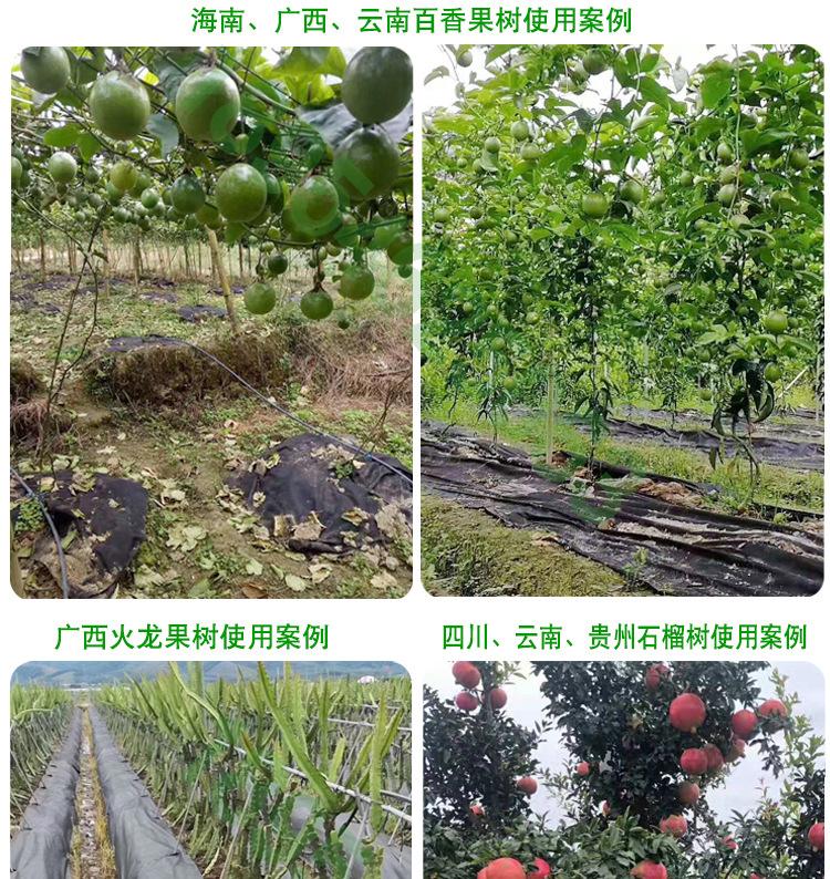 客户案例展示_02