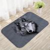 Amazon Transfronterizo Franela Alfombra Antideslizante Baño Cocina Absorbente Alfombra para Pies Logotipo de Mascota Terciopelo Cristal Alfombra de Piso Personalización