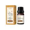 Processamento de Óleo Essencial de Folha de Platycladus Caneca Personalizada Composto de Óleo Essencial de Artemísia Gengibre 10ml Salão de Beleza Óleo Essencial para Massagem Fabricante Atacado