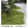 Gramado de Musgo Sintético, Micro paisagismo com Musgo Artificial, Decoração de Superfície para Bonsai Decorativo, Sem Manutenção, Grama Eterna