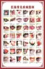 Diagrama del Esqueleto Humano, Cartel de Pared Grande, Diagrama de Órganos, Gráfico de Estructura de Órganos Internos, Gráfico de Puntos de Acupuntura, Póster del Gráfico de Anatomía Muscular Humana