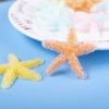 Funda para teléfono móvil translúcida con superficie de diamante roto de estrella de mar, material decorativo, relleno de slime, accesorios de resina DIY