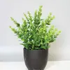 Plantas Simuladas Exquisitas Transfronterizas, Plantas Falsas, Plantas Verdes, Decoración Interior y Exterior, Plantas en Maceta de Plástico, Plantas Pequeñas en Maceta de Eucalipto, Mini