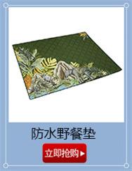 大花野餐垫.jpg