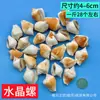 Materiales para Manualidades de Conchas de Caracol Naturales al por Mayor por Libra, Estrellas de Mar para Manualidades, Souvenirs de Viaje, Decoraciones para Acuarios