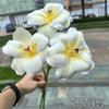 Tulipa de algodão de alta qualidade, sensação de toque, fabricantes de comércio exterior, 3 mãos segurando, rosto sorridente, tulipa, decoração de casamento, flores artificiais