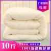 Edredón de algodón de fibra larga de Xinjiang para invierno, edredón cálido engrosado, edredón para dormitorio de estudiantes, ropa de cama al por mayor