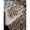 Material de talla de hueso de durazno templo cinabrio nuez de durazno nuez semillas sueltas para jugar almohada cervical bolsa para palmear materia prima joyería pulsera