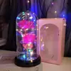 Regalo de San Valentín Cubierta Acrílica Luminosa LED Rosas para Cumpleaños de Novias Regalo del Día de la Madre para Mamá