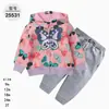 Comercio Exterior Ropa Infantil Primavera y Otoño Conjunto Infantil de Dos Piezas Material Sudadera Sudadera con Capucha Ropa Infantil para Bebés Ropa de Salida [Al por Mayor]