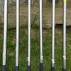 Pértiga de acero inoxidable para red de pesca, pértiga telescópica multiusos, pértiga para hoz de plantas acuáticas, pértiga para red de pesca, pértiga para red de pesca Toon