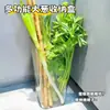 Caixa de Armazenamento Multifuncional para Cebolinha, Recipiente de Armazenamento Transparente com Haste de Ferro para Inhame, Armazenamento de Ingredientes de Gengibre e Alho para Cozinha, Armazenamento de Vegetais de Grande Capacidade