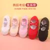 Zapatos de Baile para Niños y Niñas, Zapatos de Práctica de Suela Suave, Garras de Gatito, Sin Cordones para Hombre, Danza China de Figuras, Zapatos de Baile de Puntera de Cuero para Ballet